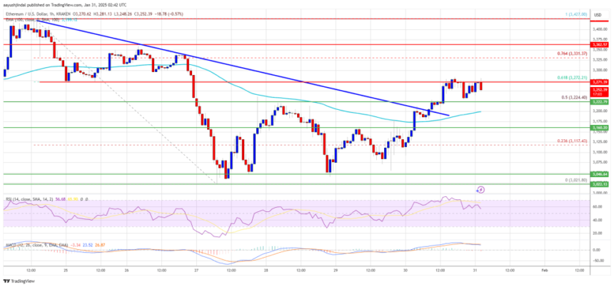 Ethereum Price Gains Traction: Can It Sustain the Climb?