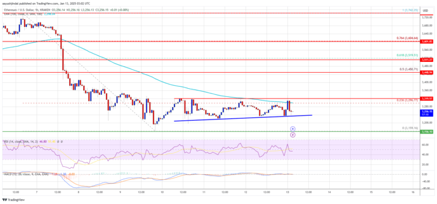 Ethereum Price Losses Steady: Is a Rebound Brewing?