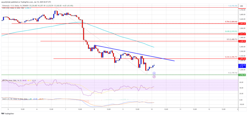 Ethereum Price Pullback Deepens: Bulls Struggle to Hold Support