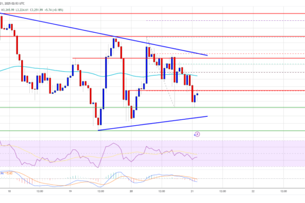 Ethereum Price Stays Flat While Bitcoin Steals the Spotlight with New ATH