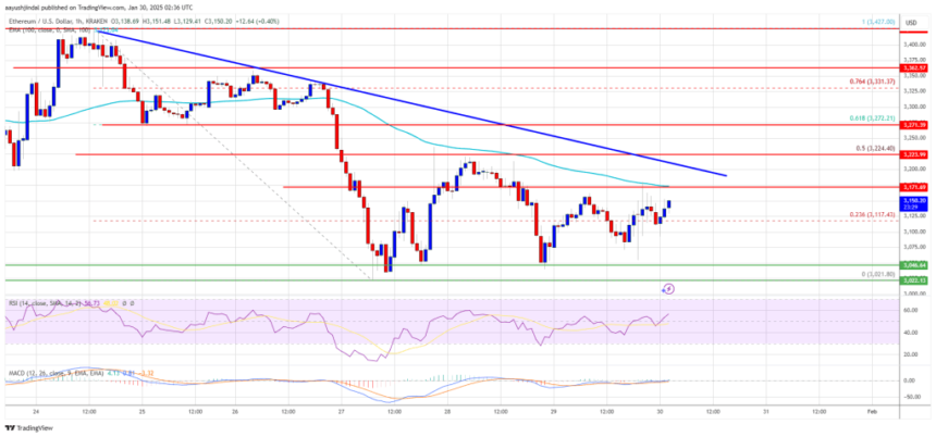 Ethereum Price Struggles Against Resistance: A Tough Road Ahead