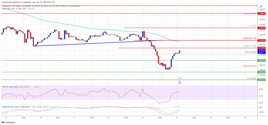 Ethereum Price Tests Limits: Can It Conquer the Uphill Task?