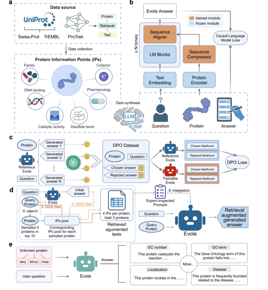 Evola: An 80B-Parameter Multimodal Protein-Language Model for Decoding Protein Functions via Natural Language Dialogue