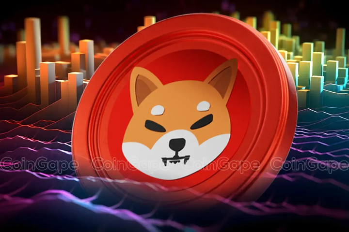 How High Can Shiba Inu Price Rise in Jan 2025?