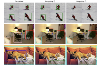 Introducing GS-LoRA++: A Novel Approach to Machine Unlearning for Vision Tasks