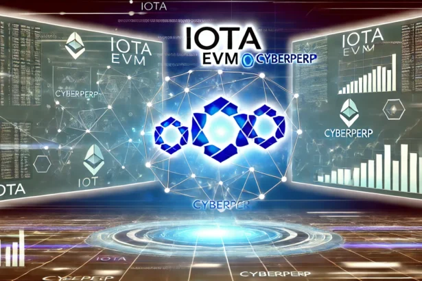 IOTA Quicktakes: Exciting 2025 Updates, Including Builder Server and Growth Initiative Voting