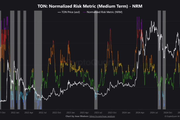 Is Toncoin Price Gearing For A Rebound At $5? This On-Chain Metric Suggests So