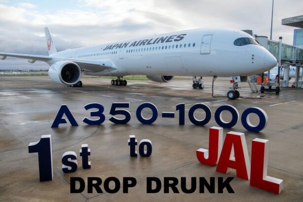 JAL Executives Incl Chairman & CEO Have Pay Docked After Drunk Pilot Incident