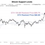 Key Metrics Reveal Bitcoin STH Support Levels Around $89K–$86K – Is BTC At Risk?