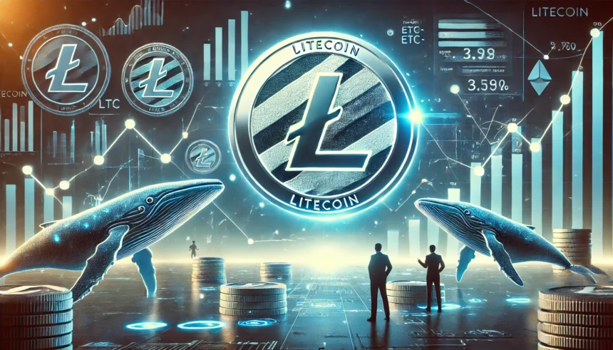 Litecoin ETF Speculation Heats Up as LTC Whale Activity Soars