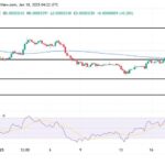 Meme Coin BONK Faces Price Correction: Can Bulls Regain Control?