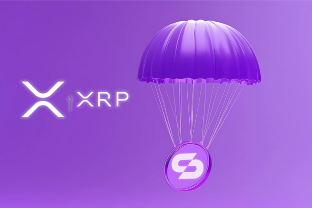 New Crypto Airdrop From Skyren DAO Brings In XRP Holders 