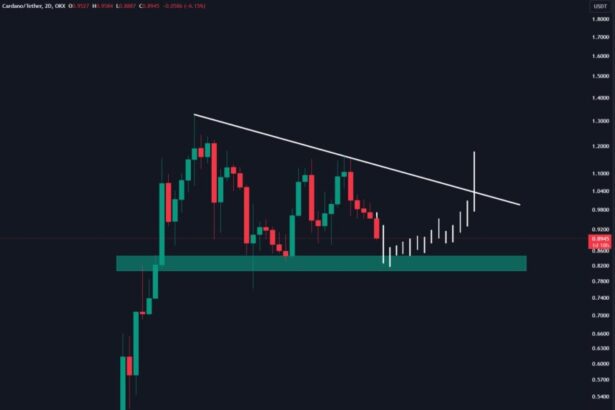 ‘No Need To Panic’: Cardano (ADA) Holding Key Level Despite 14% Drop