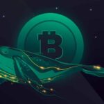 Old Bitcoin Whales and OTC Traders Fueling BTC Drawdown: CryptoQuant CEO