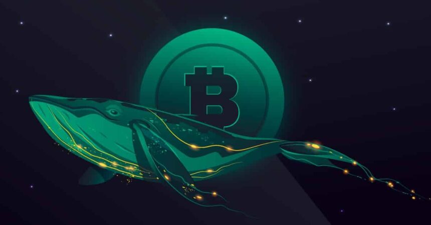 Old Bitcoin Whales and OTC Traders Fueling BTC Drawdown: CryptoQuant CEO