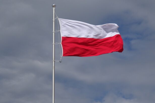 Poland Tops El Salvador with 219 Bitcoin ATMs