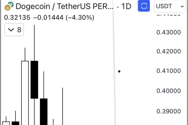 Ready To Rocket? Dogecoin Chart Hints At Major Gains Ahead