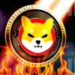 Shiba Inu Burn Rate Spikes 600% Indicating SHIB Breakout Ahead