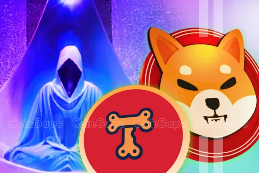 Shiba Inu Lead Shytoshi Kusama Reveals TREAT Token Launch Plan