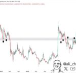 Shiba Inu Testing A Significant Support Zone – Bullish Breakout Ahead?