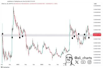 Shiba Inu Testing A Significant Support Zone – Bullish Breakout Ahead?