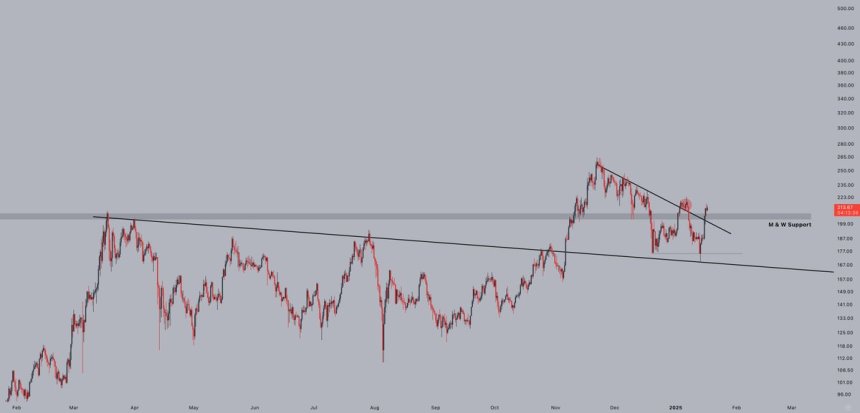 Solana Reclaims Monthly And Weekly Support Levels – Expert Sets $330 Target