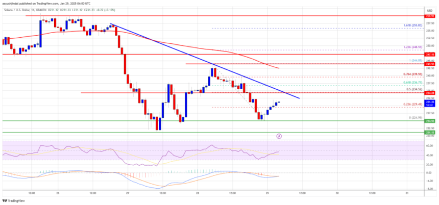 Solana (SOL) at Risk: Could More Losses Be on The Horizon?