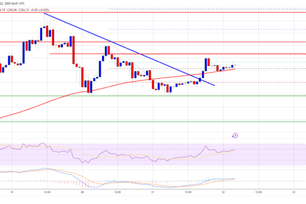 Solana (SOL) Ignites New Momentum: Bulls Target Higher Ground