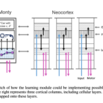 The Thousand Brains Project: A New Paradigm in AI that is Challenging Deep Learning with Inspiration from Human Brain