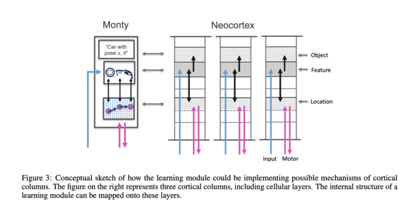 The Thousand Brains Project: A New Paradigm in AI that is Challenging Deep Learning with Inspiration from Human Brain