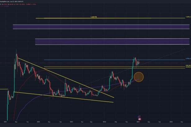 Think Dogecoin Has Topped Out? Two Factors That Say ‘No Way’