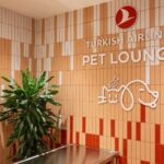 Turkish Airlines Introduces Dedicated Pet Lounge at Istanbul Airport