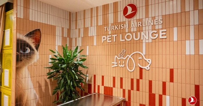 Turkish Airlines Introduces Dedicated Pet Lounge at Istanbul Airport