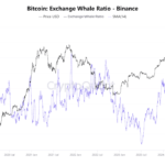 Whale Activity Spikes as Bitcoin Reclaims $102,000—What Investors Need To Know