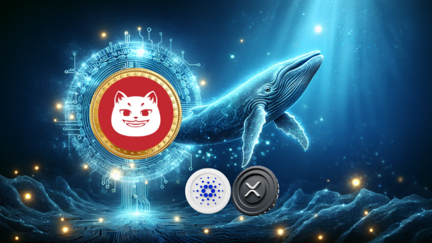 Whales Are Betting Big on This $0.0008 Token for 10,000% Gains Instead of XRP and ADA — Are You In?