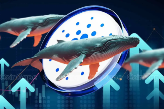 Will Cardano Price Skyrocket to $1.5 As Whales Buy 140M ADA?