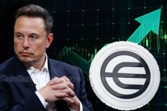 Worldcoin Price Could 5X After Elon Musk’s Failed Jab at Stargate Initiative