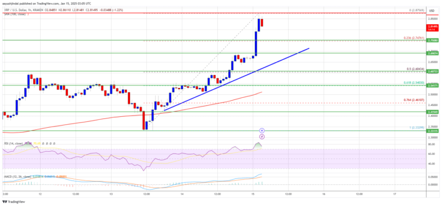 XRP Bulls Charge Ahead: Rally Picks Up Speed