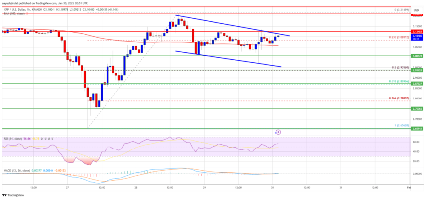 XRP Price Bulls Stay In Control: Uptrend Poised to Continue