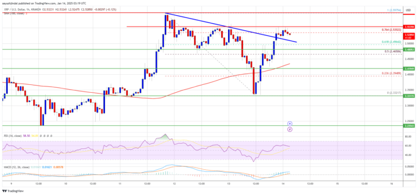 XRP Price Dominates: Outperforming Bitcoin With Confidence