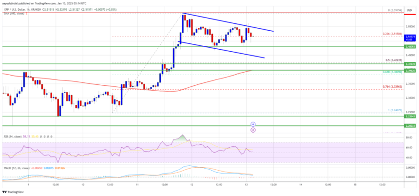 XRP Price Gears Up: Is a Fresh Rally on the Horizon?