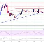 XRP Price Pauses Rally: Healthy Pullback or Reversal Ahead?