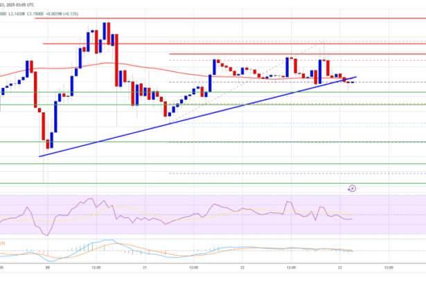 XRP Price Pauses Rally: Healthy Pullback or Reversal Ahead?