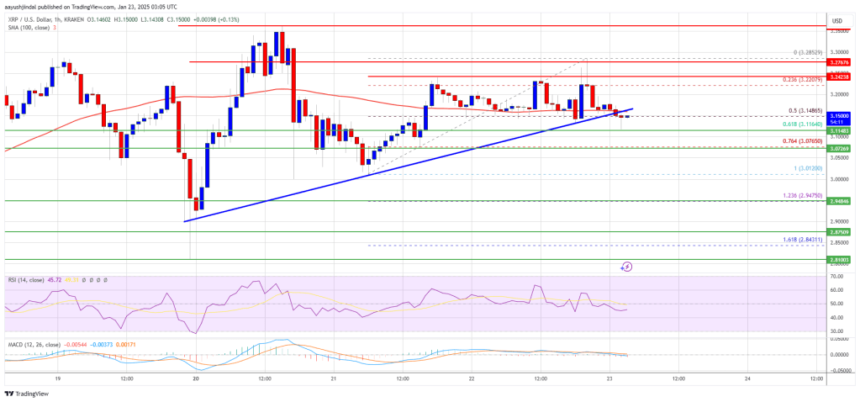 XRP Price Pauses Rally: Healthy Pullback or Reversal Ahead?