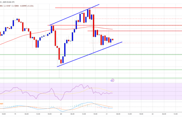 XRP Price Resilience Shines: Is a Parabolic Move on the Horizon?