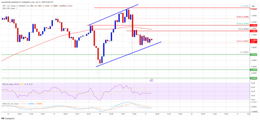 XRP Price Resilience Shines: Is a Parabolic Move on the Horizon?