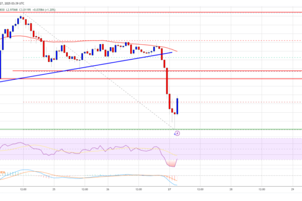 XRP Price Sees a Bearish Shift: Key Levels to Watch