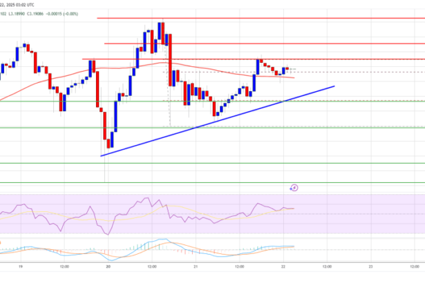 XRP Price Sets the Stage for More Gains: Bulls Hold the Momentum