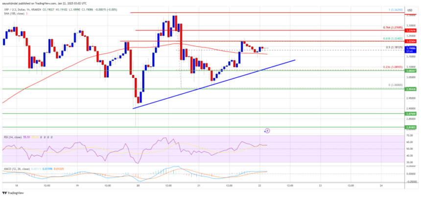 XRP Price Sets the Stage for More Gains: Bulls Hold the Momentum