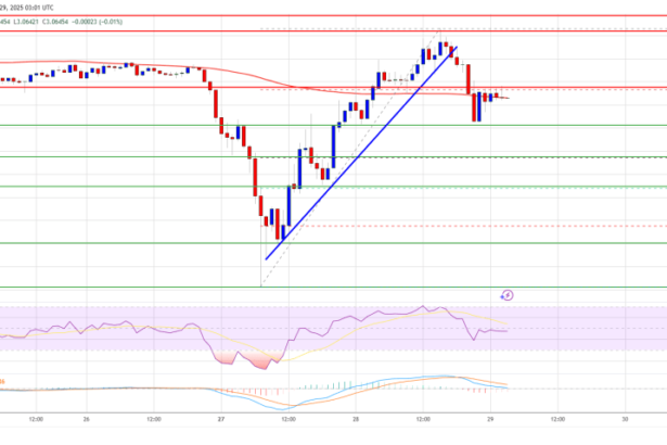 XRP Price Surge Cools Off: Is the Uptrend Still Intact?